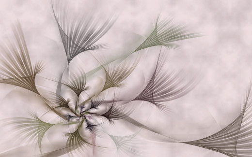 580568 (a): :1680x1050
